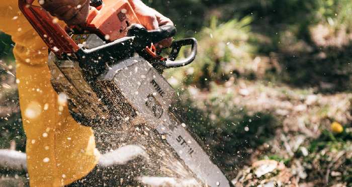 Chainsaw Chaps